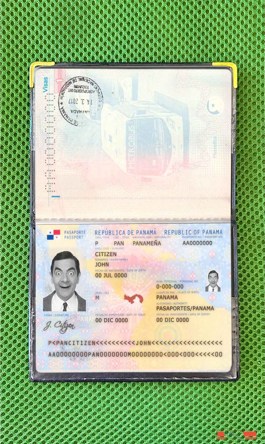 Panama passport photo look PSD template